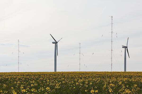ZSW Windtesfeld bei Stötten