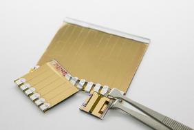 Von der Laborzelle zum kleinen Solarmodul: Perowskit-Entwicklungen aus dem ZSW-Labor. Foto: ZSW