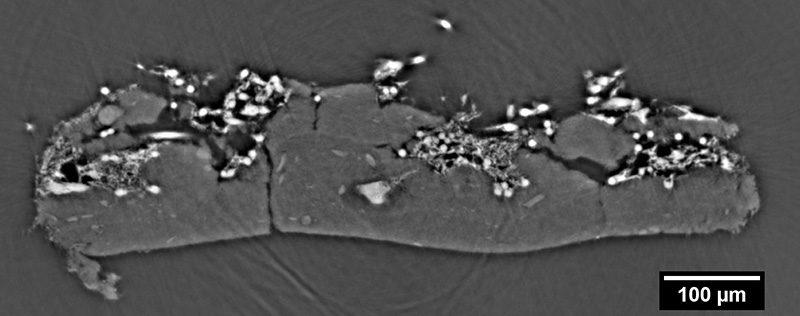 Cross-section (tomogram) of a GDL with integrated microporous layer (MPL) for identification of free volume between fibres and binder material.